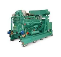 Grupo Gerador a Gás C1000 N6C